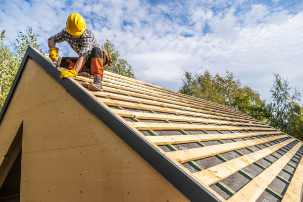 Best Roof Gutter Cleaning  in Corinth, MS
