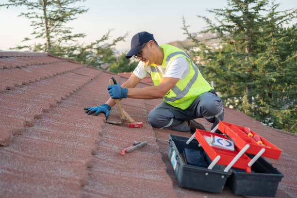 Roof Gutter Cleaning in Corinth, MS